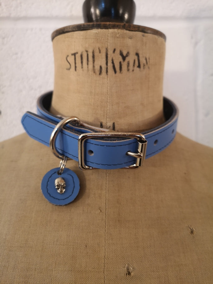 Dog Collar