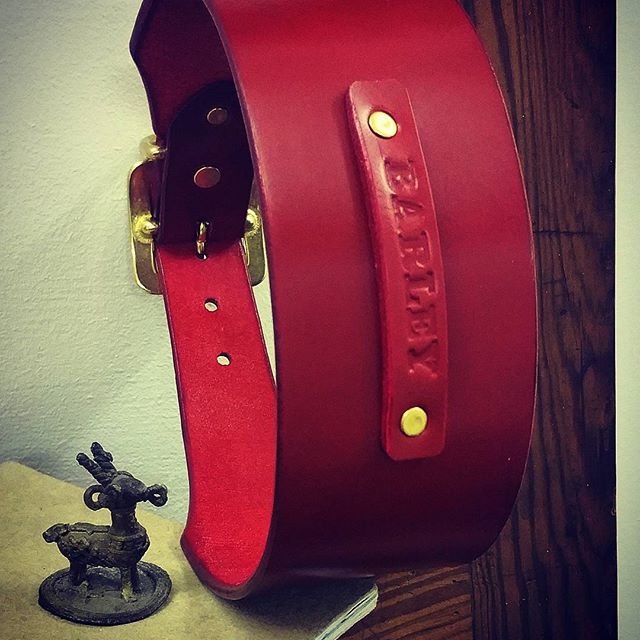 Dog Collar