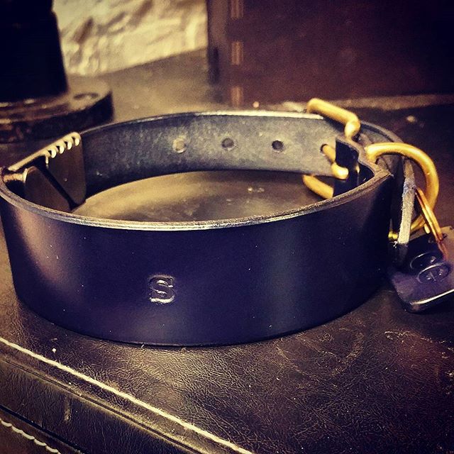Dog Collar