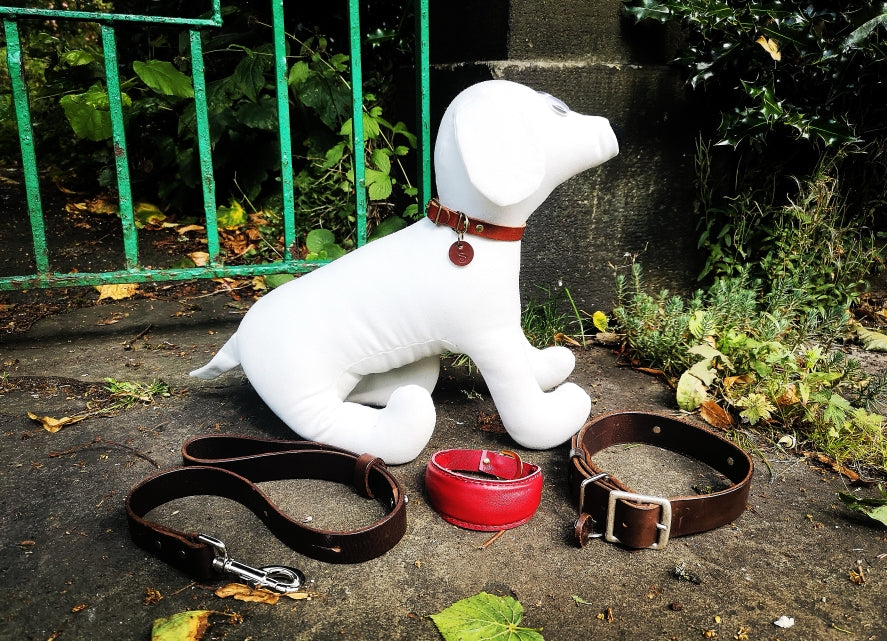 Dog Collar