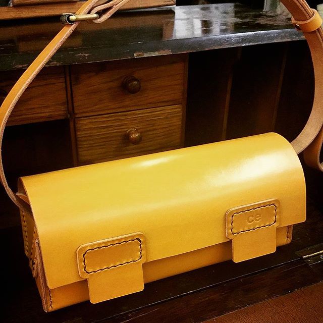Telescope Bag