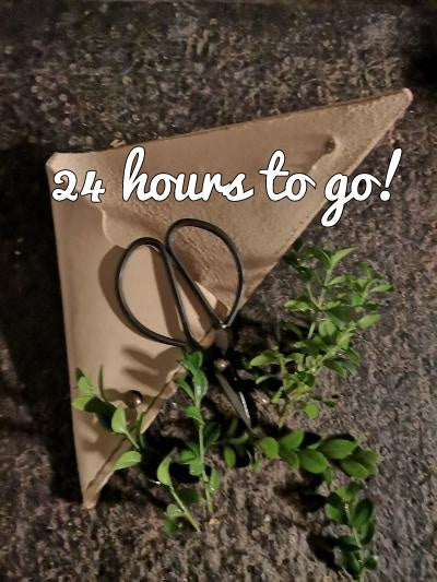 24 Hours To Go