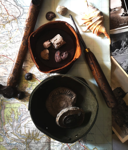 Spring Fossil Finding